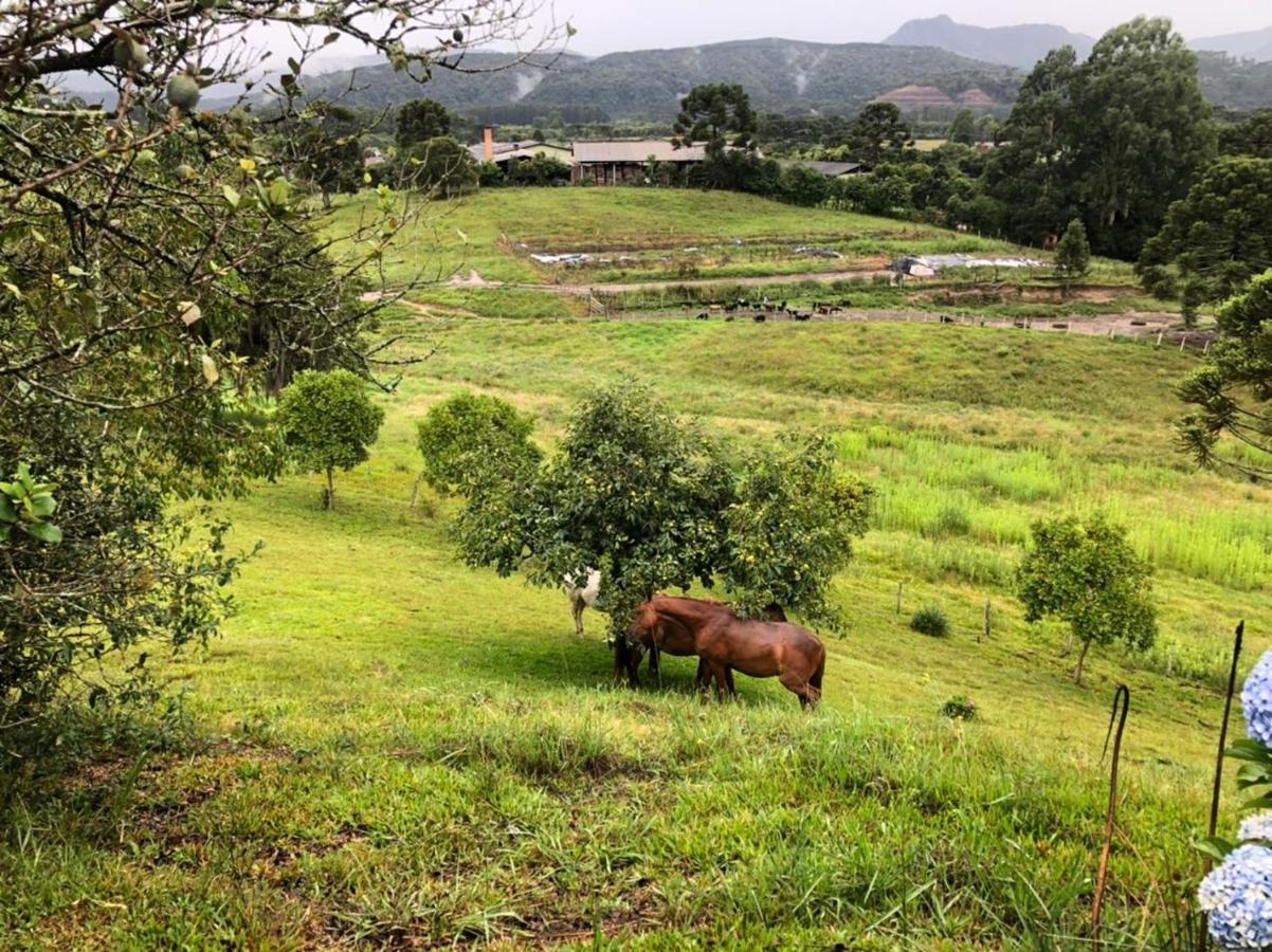 Pousada Fazenda Da Invernada Urubici Ngoại thất bức ảnh